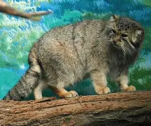 €垔?*Yぽ炖嗏T%狲BNa-九游官方网站